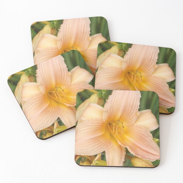 Item preview, Woody Peach Rhododendron  designed and sold by Trisha North.