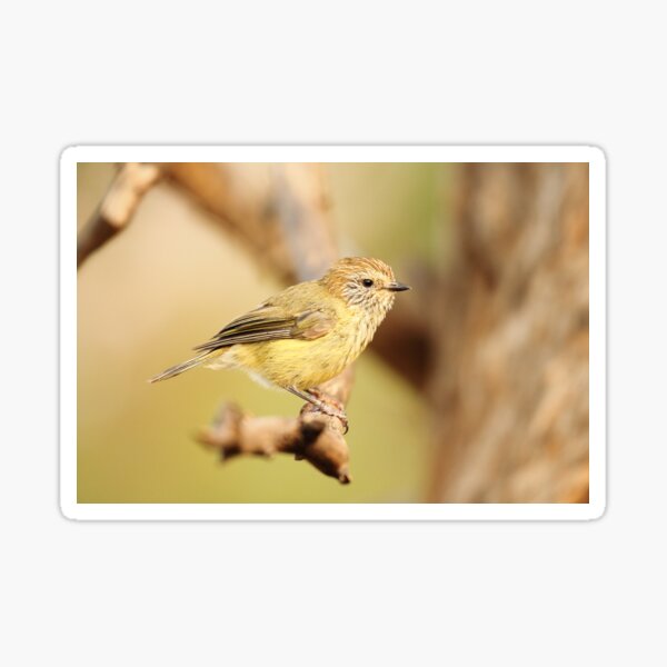 Item preview, Little Birdy designed and sold by CBoyle.