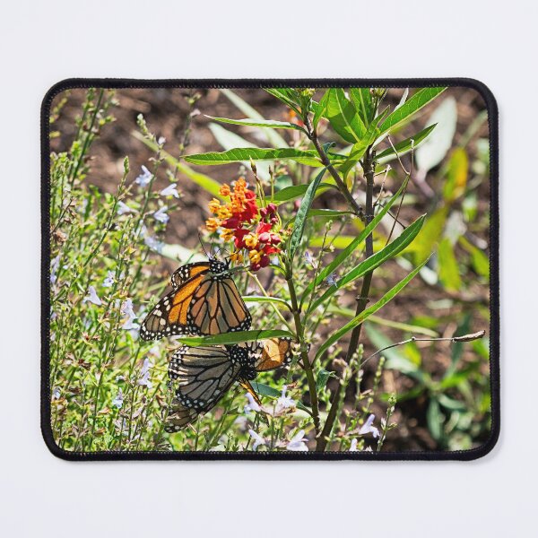 Item preview, Butterfly Summit designed and sold by WrightDesignsUS.