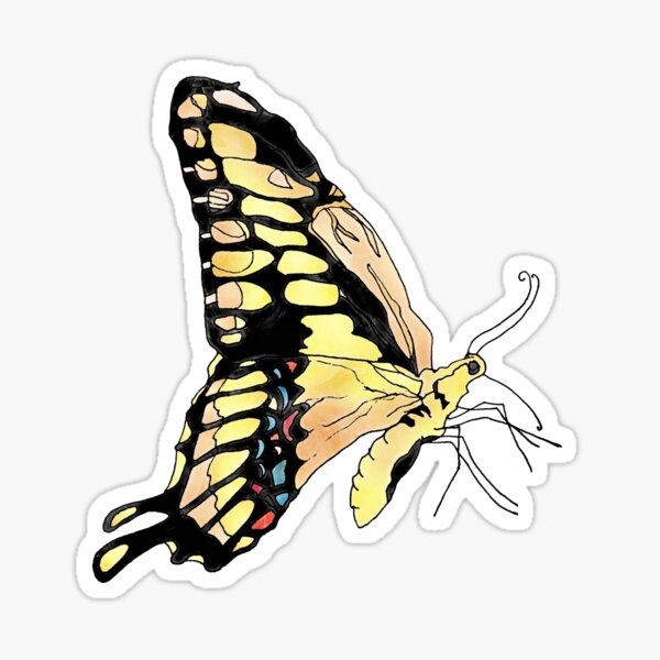 Giant Swallowtail Butterfly Sticker
