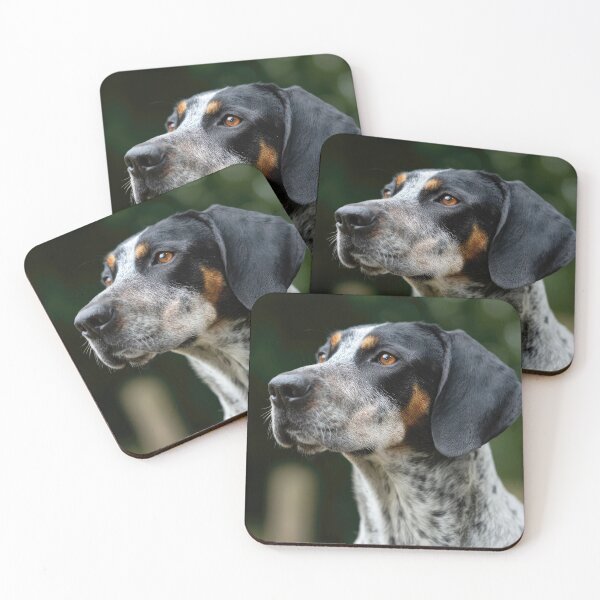 Item preview, Bourbonnais Pointer Portrait designed and sold by Elisabeth Lucas.