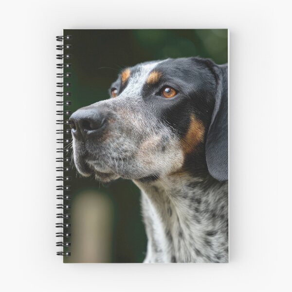 Item preview, Bourbonnais Pointer Portrait designed and sold by Elisabeth Lucas.