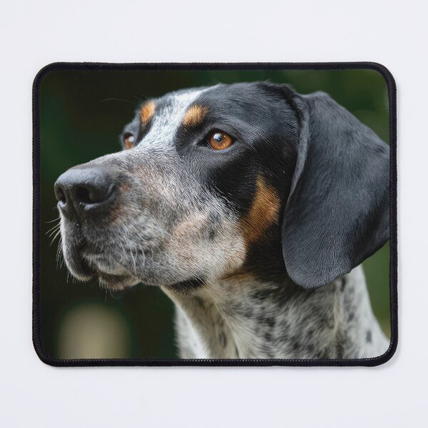 Item preview, Bourbonnais Pointer Portrait designed and sold by Elisabeth Lucas.