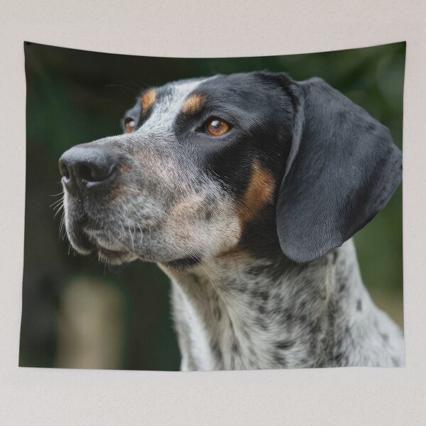 Item preview, Bourbonnais Pointer Portrait designed and sold by Elisabeth Lucas.