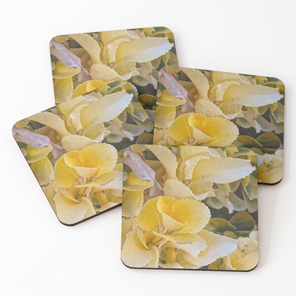 Item preview, Cheer in Every Curl designed and sold by Betsy Phillips.