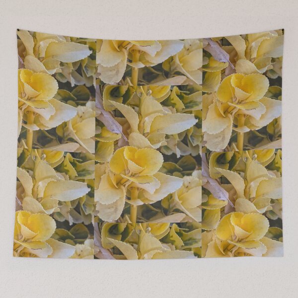 Item preview, Cheer in Every Curl designed and sold by Betsy Phillips.
