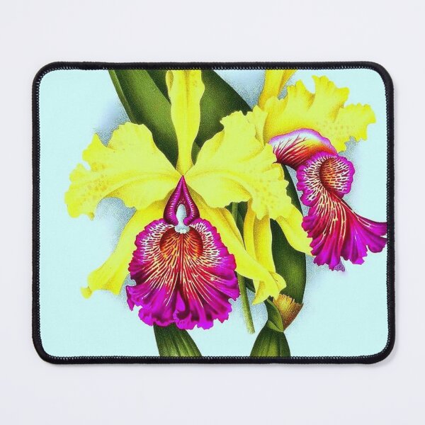 Item preview, Cattleya dowiana designed and sold by NightRaida.