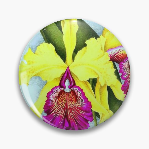 Item preview, Cattleya dowiana designed and sold by NightRaida.