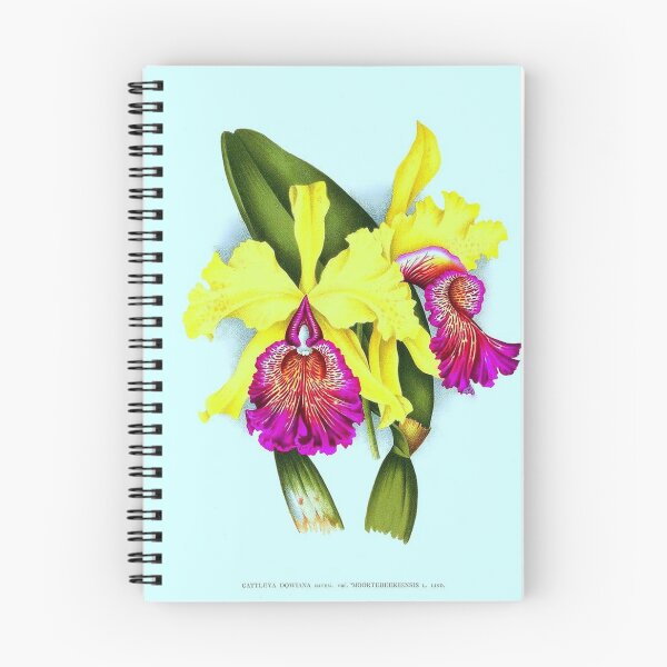 Item preview, Cattleya dowiana designed and sold by NightRaida.