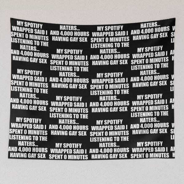 Item preview, My Spotify-Wrapped Said I Spent O Minutes Listening To The Haters designed and sold by pansak.