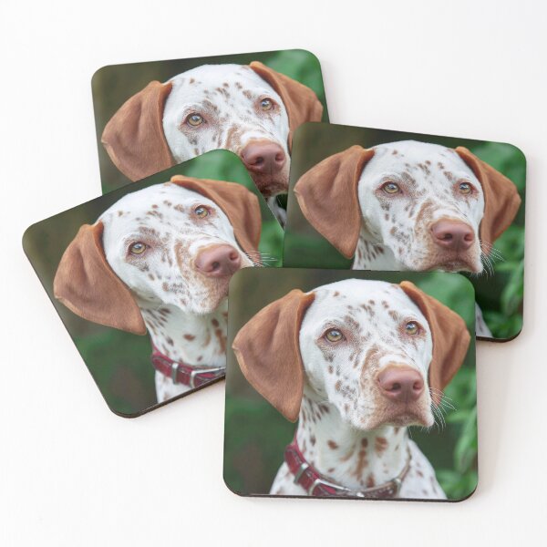 Item preview, Saint Germain Pointer designed and sold by Elisabeth Lucas.