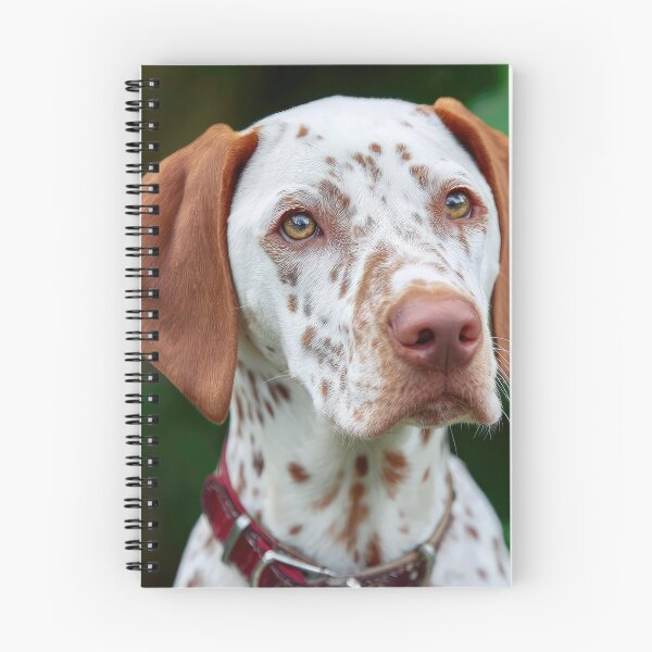 Item preview, Saint Germain Pointer designed and sold by Elisabeth Lucas.