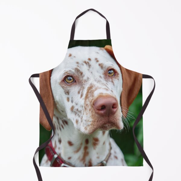 Item preview, Saint Germain Pointer designed and sold by Elisabeth Lucas.
