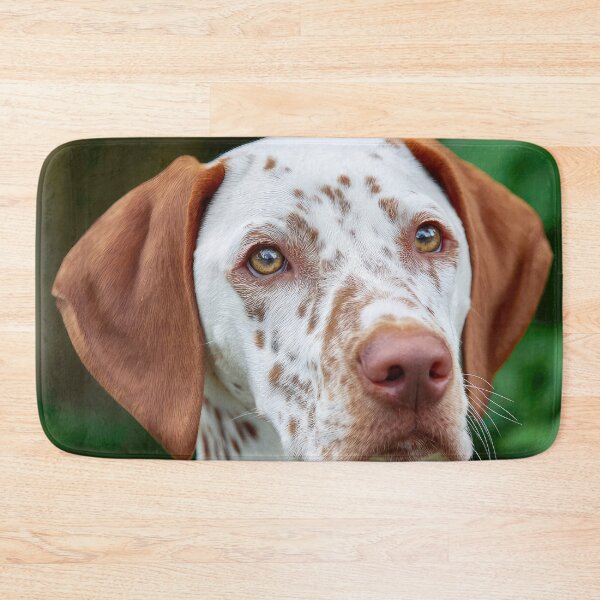 Item preview, Saint Germain Pointer designed and sold by Elisabeth Lucas.