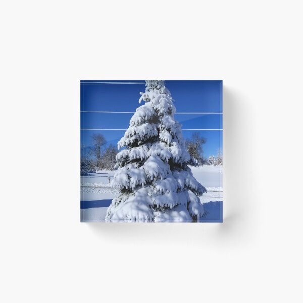 Item preview, Spruce after the Storm designed and sold by bjtomiko.