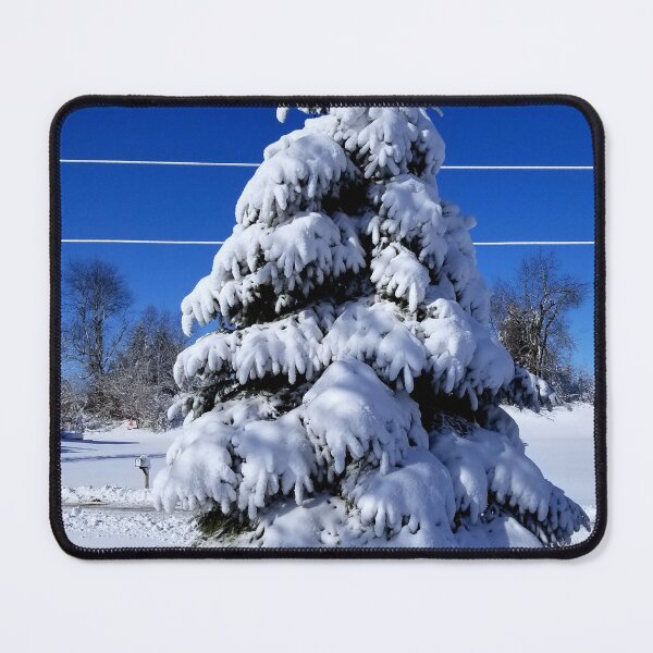 Item preview, Spruce after the Storm designed and sold by bjtomiko.
