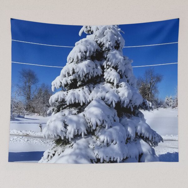 Item preview, Spruce after the Storm designed and sold by bjtomiko.