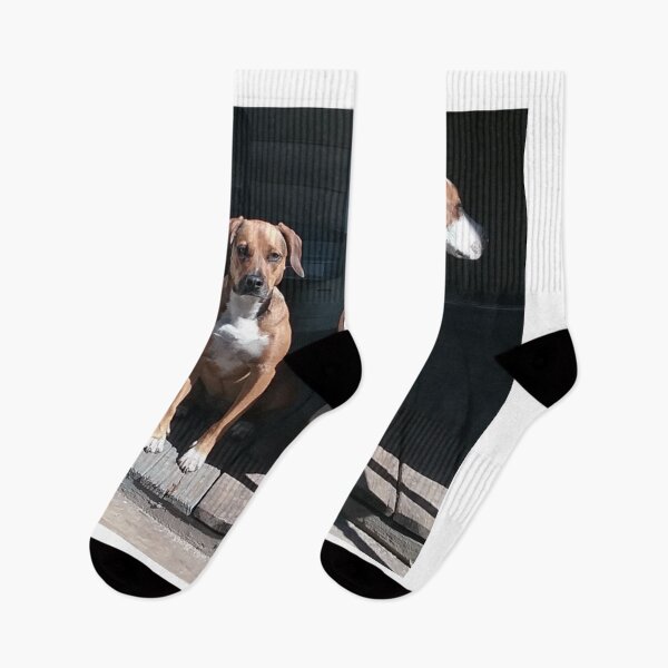 Item preview, Two Dogs chilling on a Porch designed and sold by Snails in the Ocean.