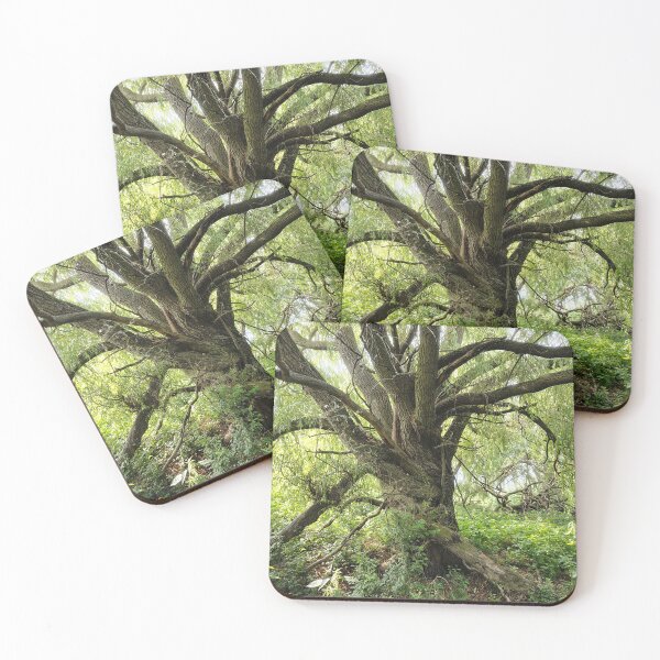 Item preview, Twisted in Beauty designed and sold by SCTBUFFALOPHOTO.