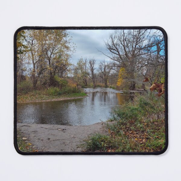Item preview, Life is Still designed and sold by SCTBUFFALOPHOTO.
