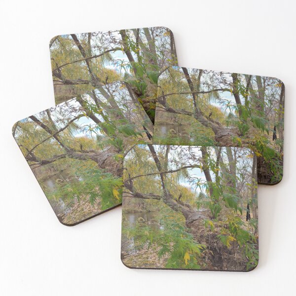 Item preview, In the Absence of Music designed and sold by SCTBUFFALOPHOTO.