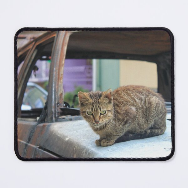 Item preview, Angry Street Cat designed and sold by izzetsafer.