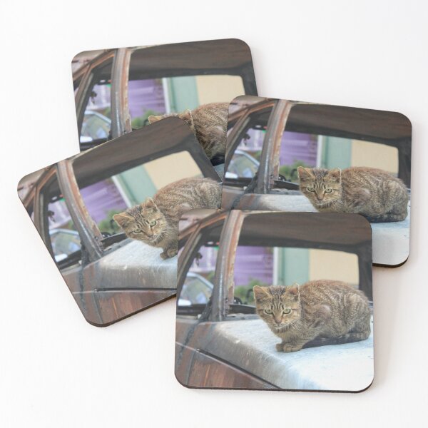 Item preview, Angry Street Cat designed and sold by izzetsafer.