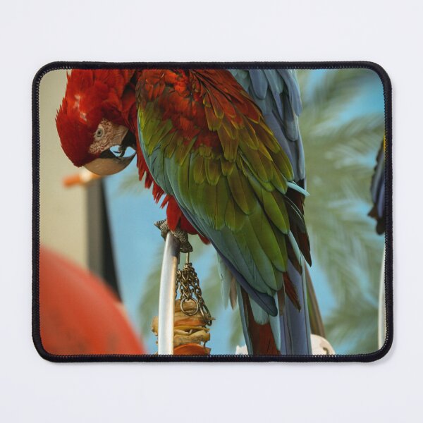Item preview, Tropical Splendor: The Scarlet Macaw's Radiance designed and sold by Star People Digital Art Works and Photography.
