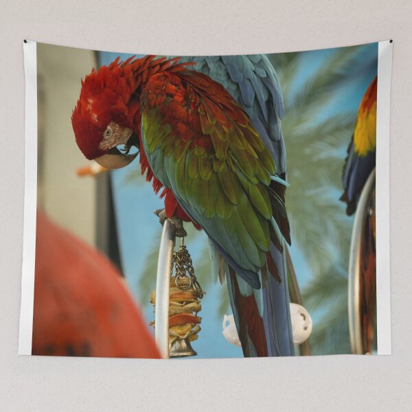 Item preview, Tropical Splendor: The Scarlet Macaw's Radiance designed and sold by Star People Digital Art Works and Photography.