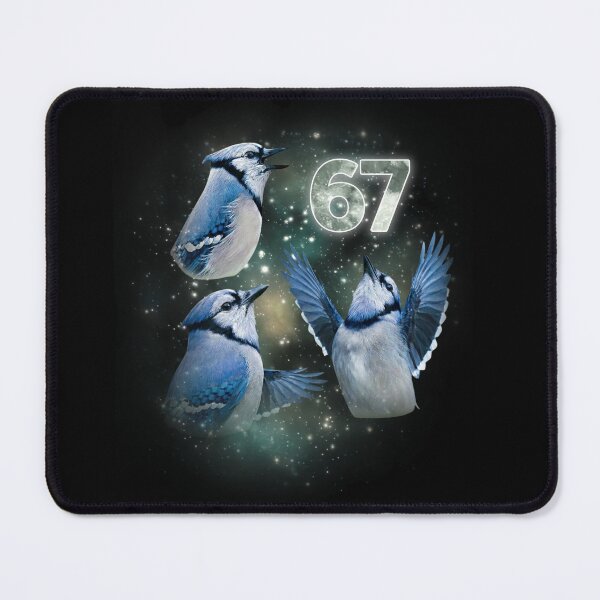 Item preview, Celestial Blue Jay 67 6 7 Spirit Tee designed and sold by LashondaGreen89.