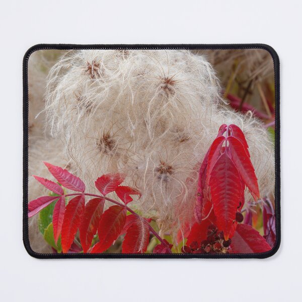 Item preview, Wild Clematis and Sumac designed and sold by DawsonImages.