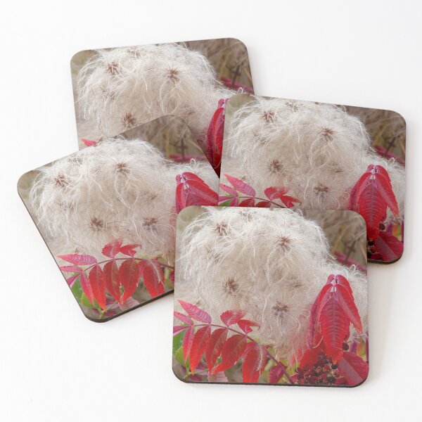 Item preview, Wild Clematis and Sumac designed and sold by DawsonImages.