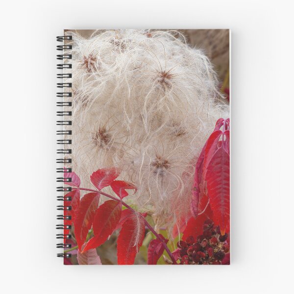 Item preview, Wild Clematis and Sumac designed and sold by DawsonImages.