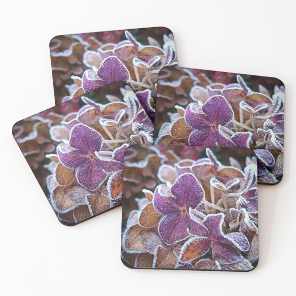 Item preview, Morning Rednex Band bDew Petals designed and sold by Joananature.
