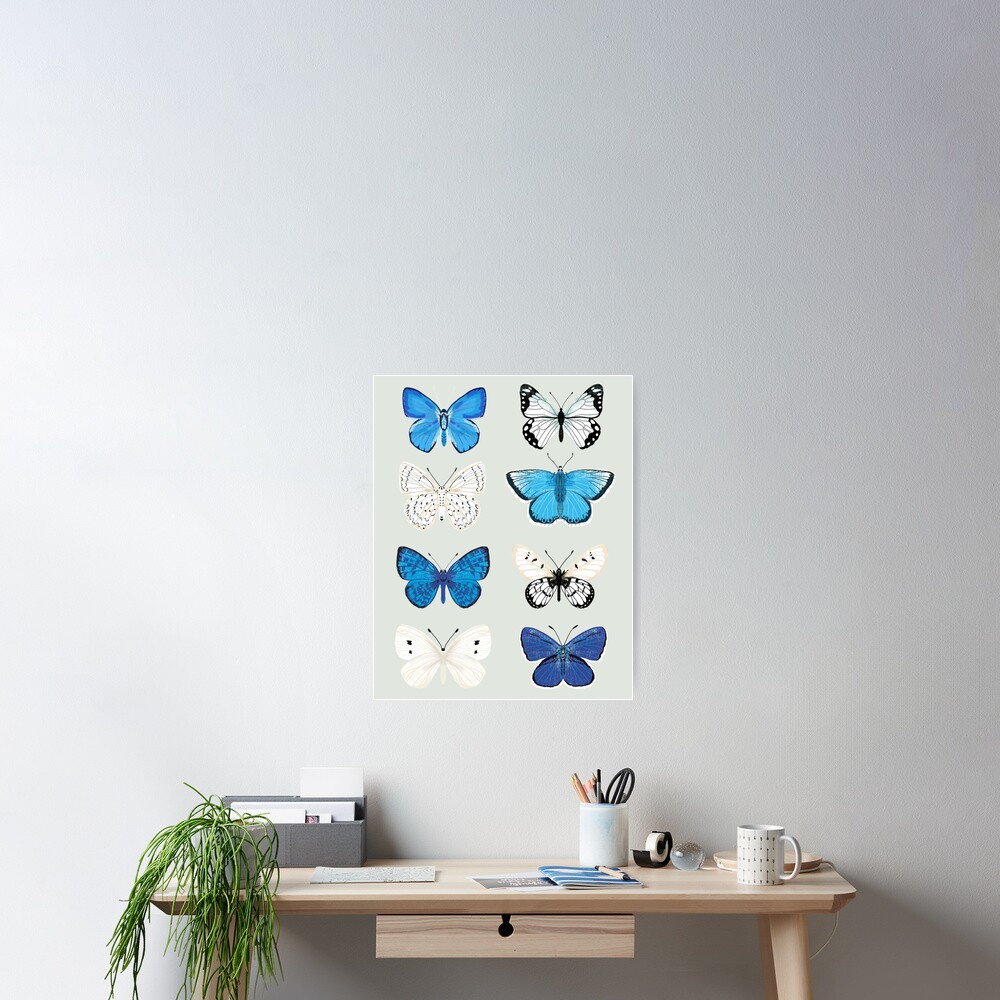 Lepitoptery No. 2 - Blue and White Butterflies and Moths Poster