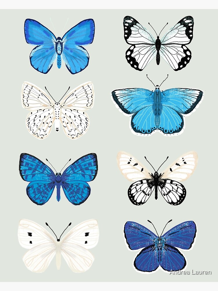 Lepitoptery No. 2 - Blue and White Butterflies and Moths by papersparrow
