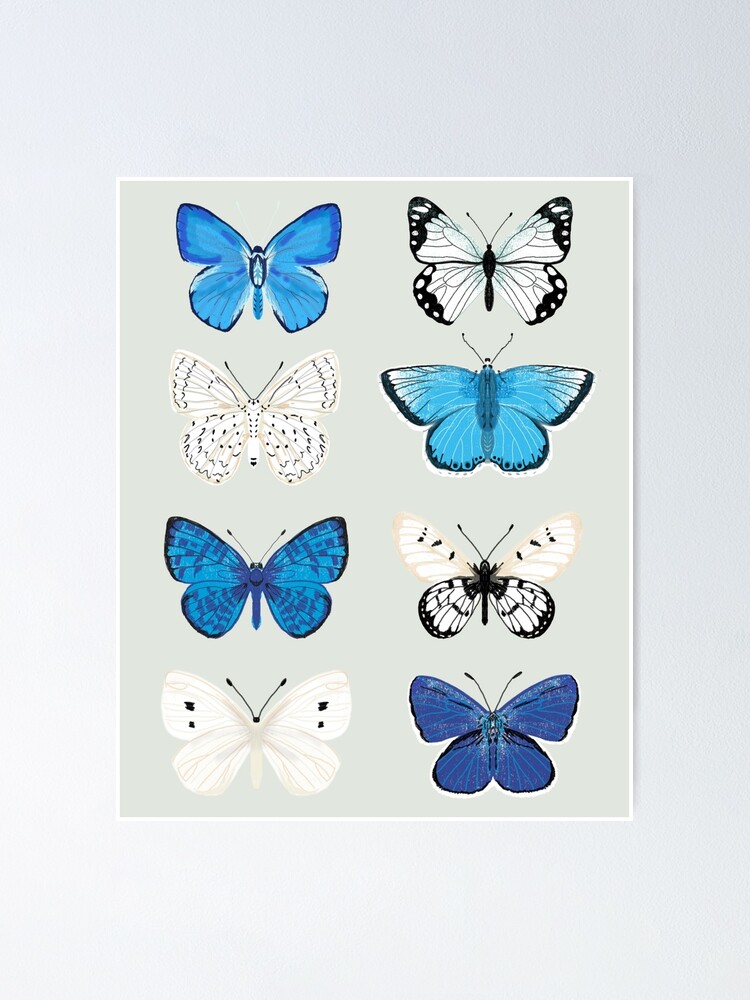 Alternate view of Lepitoptery No. 2 - Blue and White Butterflies and Moths Poster