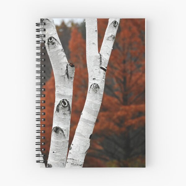Item preview, Berkshire Birch  designed and sold by Rebecca Joppru Grimsley.