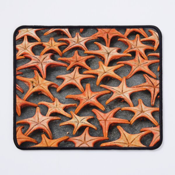 Item preview, Vietnamese sun-drying starfish designed and sold by franck380.