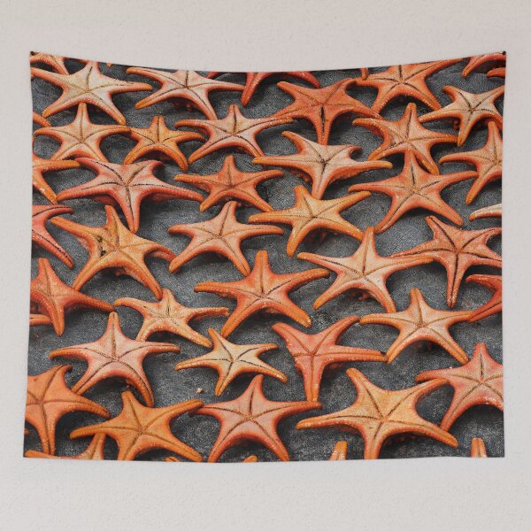Item preview, Vietnamese sun-drying starfish designed and sold by franck380.