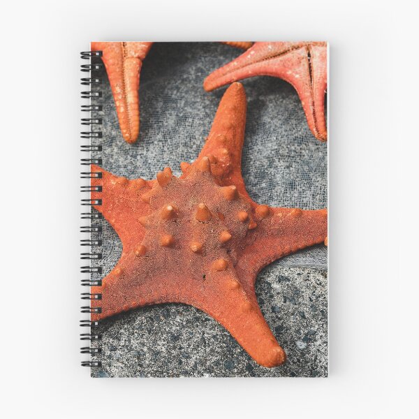 Item preview, Details and textures of starfish designed and sold by franck380.