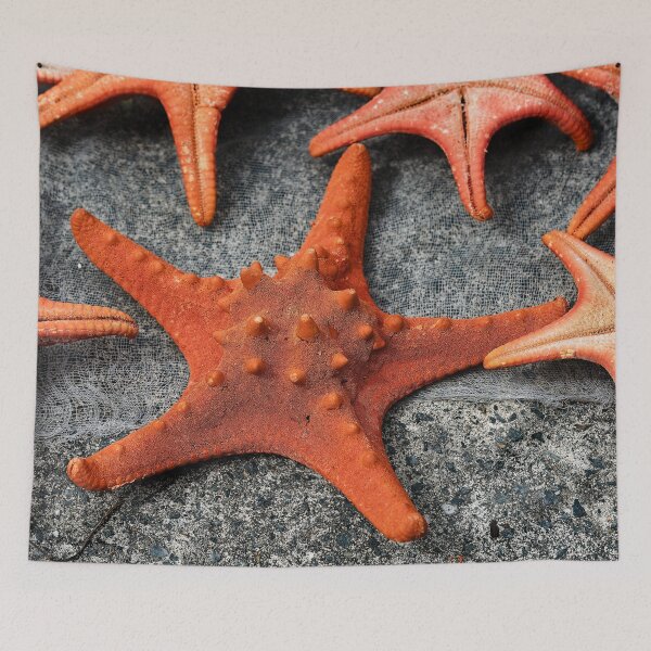 Item preview, Details and textures of starfish designed and sold by franck380.