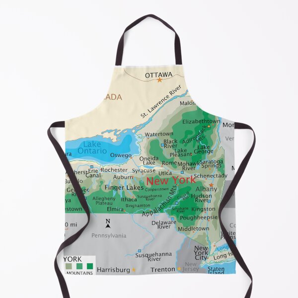 Item preview, Detailed New York Geography Map designed and sold by WorldAtlas.com.