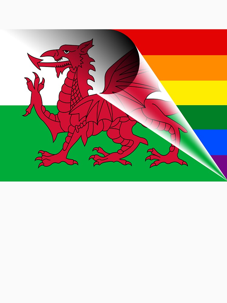 Wales Lgbtq Rainbow Flag T Shirt By Bigbadbear Redbubble