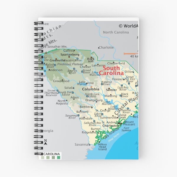 Item preview, Detailed South Carolina Geography Map designed and sold by WorldAtlas.com.