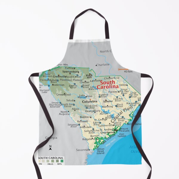 Item preview, Detailed South Carolina Geography Map designed and sold by WorldAtlas.com.