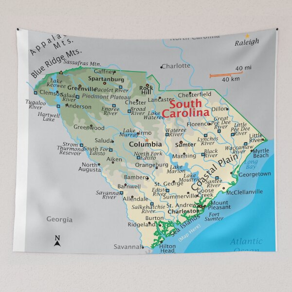 Item preview, Detailed South Carolina Geography Map designed and sold by WorldAtlas.com.