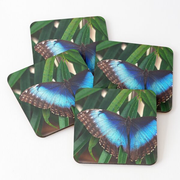 Item preview, Blue Morpho Butterfly | Tropical Nature Art designed and sold by N0irNest.