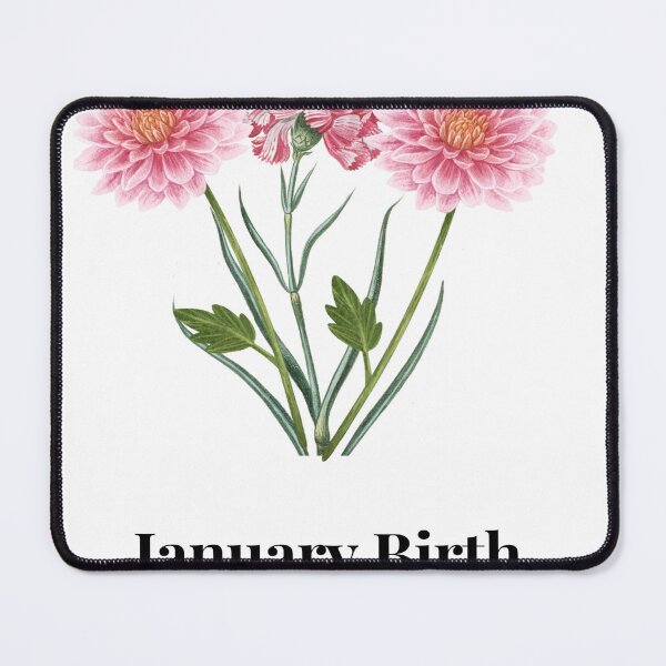 Item preview, Vintage January Birth Flower - Pink Carnation Floral Art designed and sold by Colorxpink.