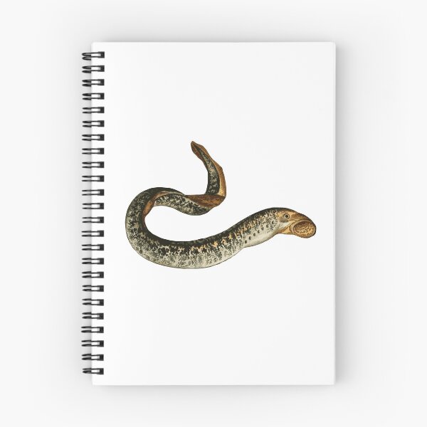 Item preview, Lamprey  designed and sold by AlderV.